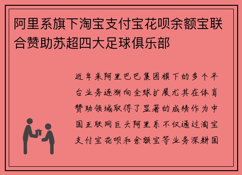 阿里系旗下淘宝支付宝花呗余额宝联合赞助苏超四大足球俱乐部